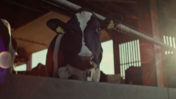 ARLA From Farm To Fridge STILL 030