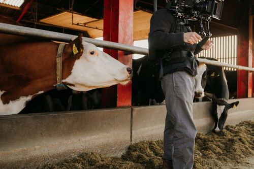 ARLA From Farm To Fridge Behind The Scenes 010