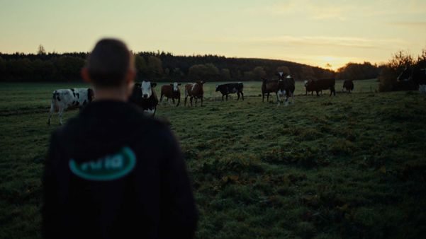 ARLA From Farm To Fridge STILL 001